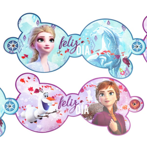 BANDERIN FROZEN X1