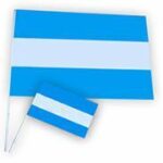 BANDERA ARGENTINA 40X60CM X1