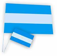 BANDERA ARGENTINA 40X60CM X1