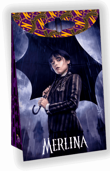 BOLSA DE PAPEL C/CIERRE MERLINA X8