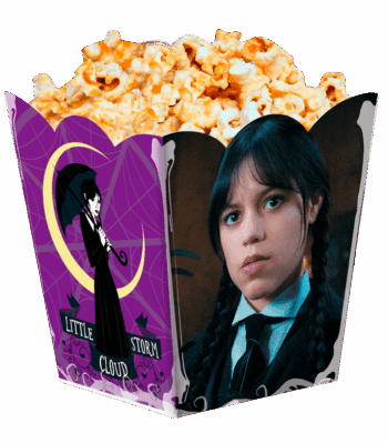 CAJITAS POCHOCLERA MERLINA X6