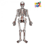 ESQUELETO ARTICULADO 135X42CM X1