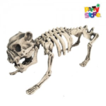 ESQUELETO DE PERRO 19X40X15CM X1