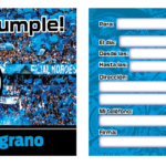 INVITACION BELGRANO X10
