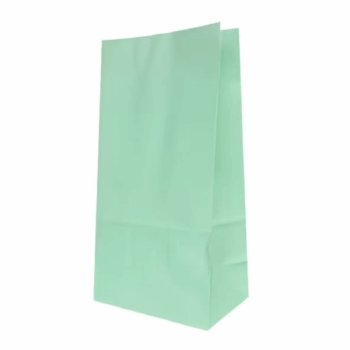 BOLSA FAST FOOD VERDE PASTEL X1