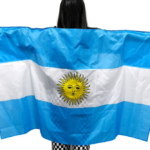 BANDERA POLIESTER C/BRAZOS X1