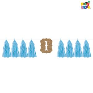 BORLAS 1ER AÑO CELESTE 2MTS X1