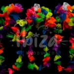 WhatsApp-Image-2024-08-20-at-10.10.46