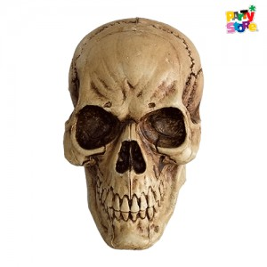 CRANEO HUMANO 18X18X25CM X1