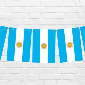 BANDERIN 10 BANDERAS ARGENTINA 2,40MTS X1